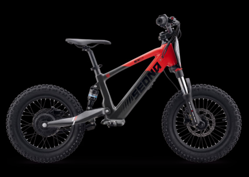 Elektro Fahrrad Sedna SX16"